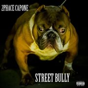 Street bully cover image cdn