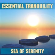 Tranquility - sea of serenity cover image cdn