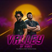 Valley of vibes cover image cdn
