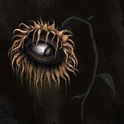 Wilted cover image cdn