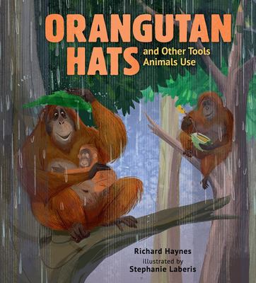 Orangutan hats and other tools animals use  cover image cdn