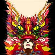 Lost nuggets from the 60s: garage-rock 1965-1967 cover image cdn