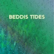 Rain forest cover image cdn