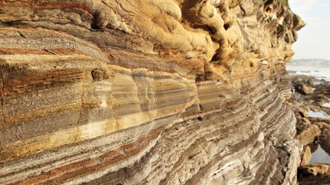 Introduction to Paleontology. Episode 7, Fossil Timekeepers cover image cdn