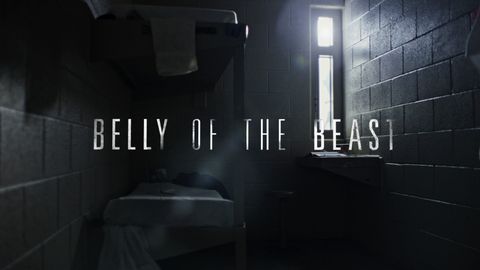 Belly of the Beast cover image cdn