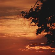 A moment with no end, pt. ii: pure love and golden bliss cover image cdn