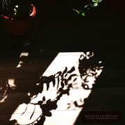 Loops for dissipation cover image cdn