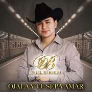 Ojalá y te sepa amar cover image cdn