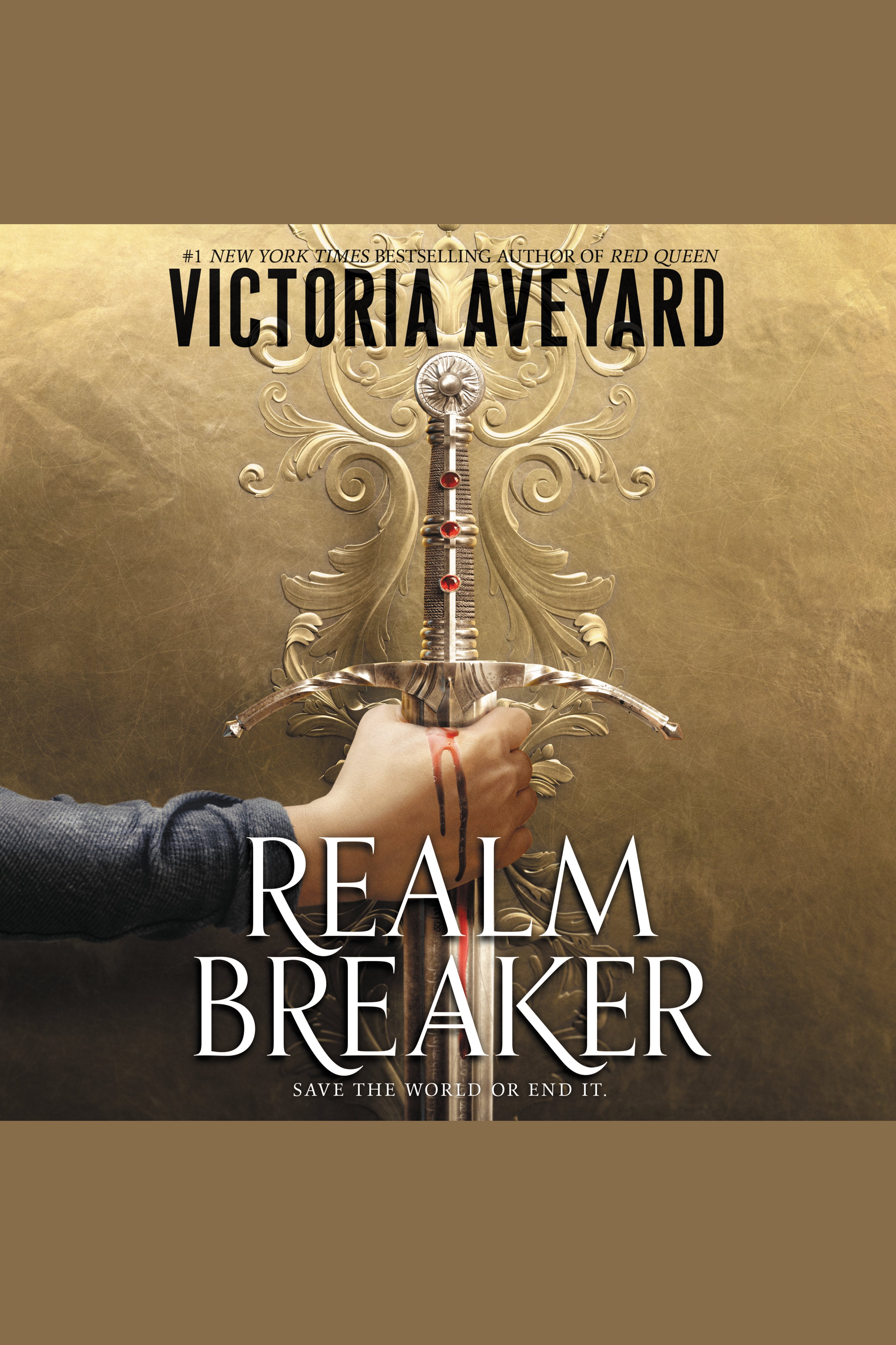 Realm Breaker cover image cdn