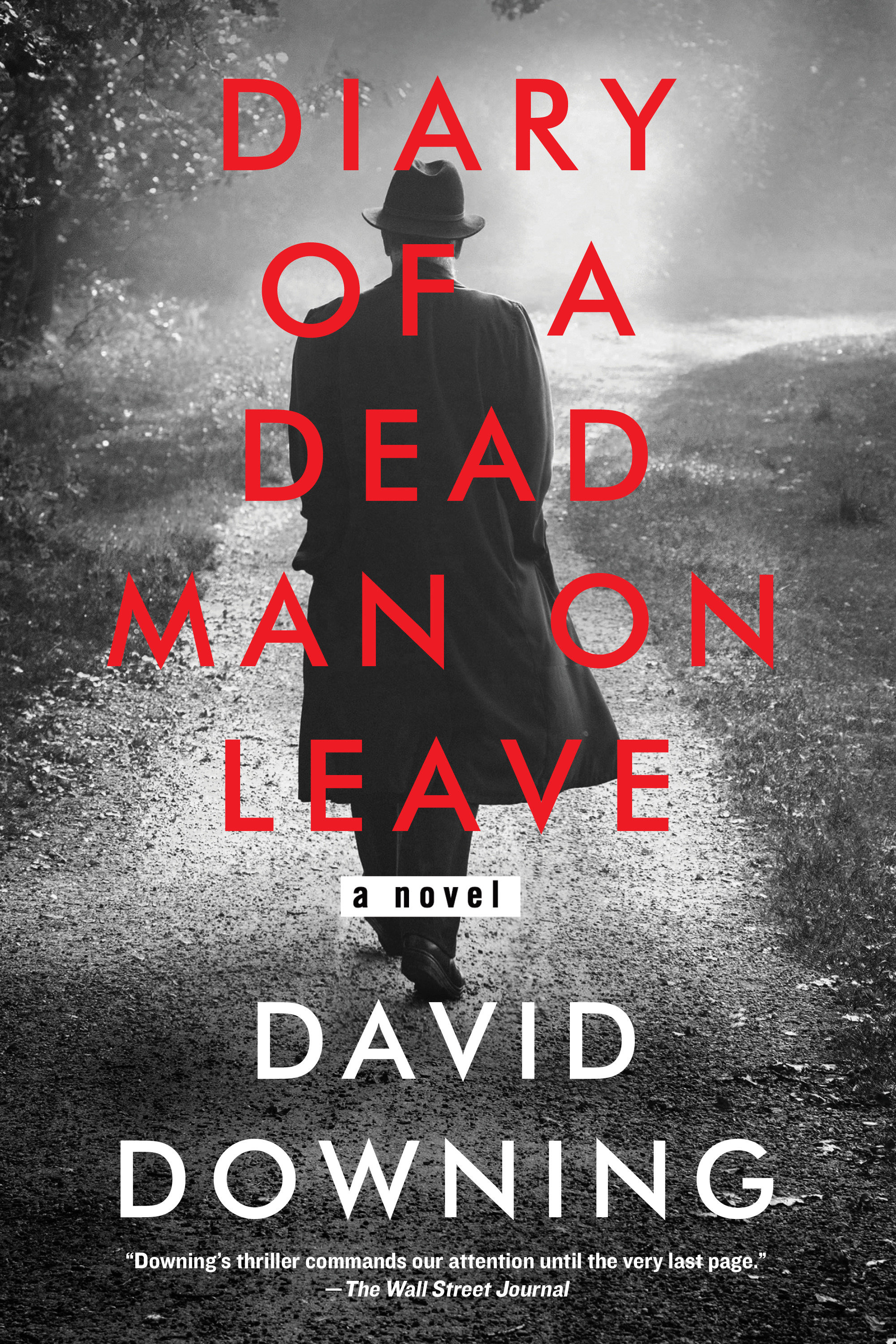 Diary of a Dead Man on Leave cover image cdn