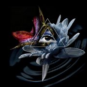 From the heart of the silent city... to a point of no return! cover image cdn