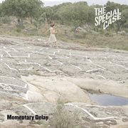 Momentary delay cover image cdn