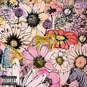 Jordi cover image cdn