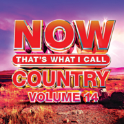 NOW that's what I call country. Volume 14 cover image cdn