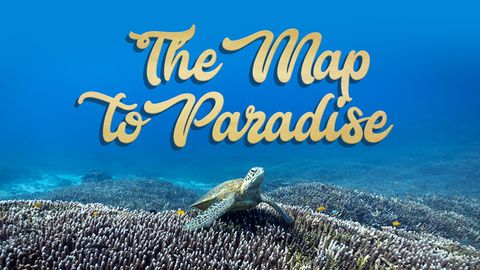 The Map To Paradise cover image cdn