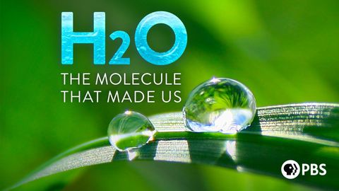 H2O: The Molecule That Made Us cover image cdn