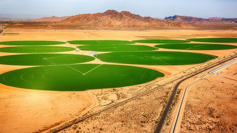 H2O: The Molecule That Made Us. Episode 2, Civilizations cover image cdn