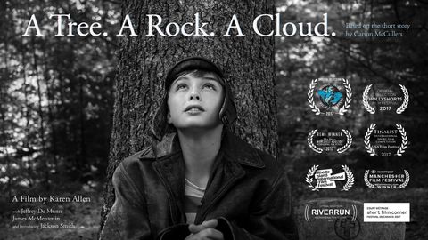 A Tree. A Rock. A Cloud. cover image cdn