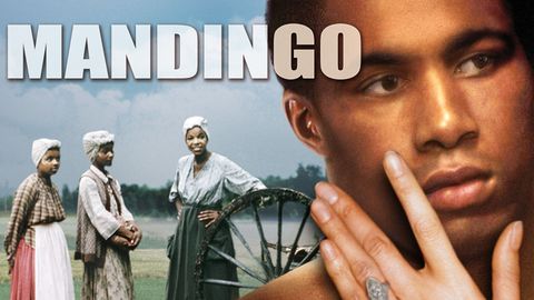 Mandingo cover image cdn
