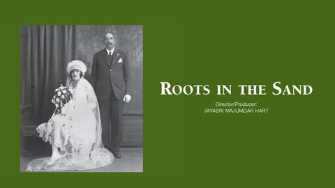 Roots in the Sand cover image cdn