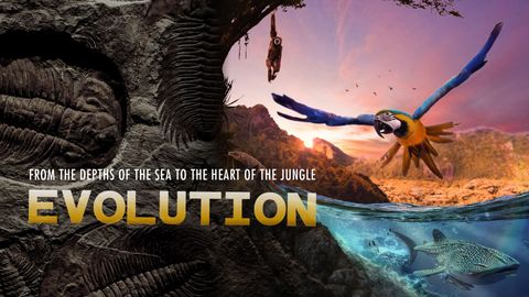 Evolution cover image cdn
