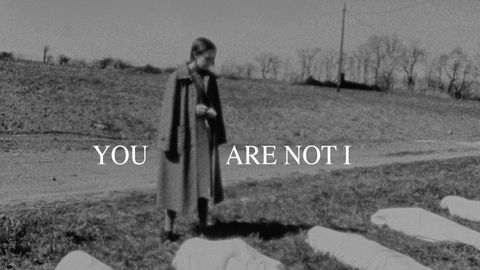 You Are Not I cover image cdn