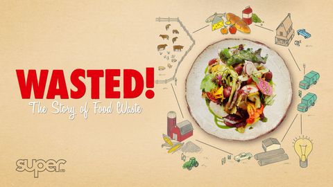 Wasted: The Story of Food Waste cover image cdn