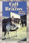 Call of the Brazos cover image cdn
