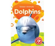 Dolphins cover image cdn