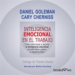 Inteligencia emocional en el trabjo (emotionally intelligent workplace). Como seleccionar y mejorar la inteligencia emocional en individuos, grupos y organizaciones cover image cdn