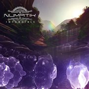 Intangible cover image cdn