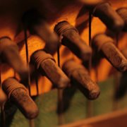 Solid state mercenaries cover image cdn