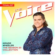 The season 20 collection (the voice performance) cover image cdn