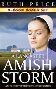 A Lancaster Amish storm cover image cdn