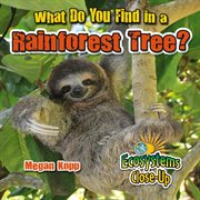 What do you find in a rainforest tree? cover image cdn