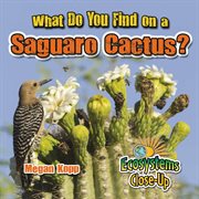 What do you find on a saguaro cactus? cover image cdn