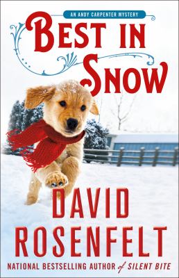 Best in snow  cover image cdn