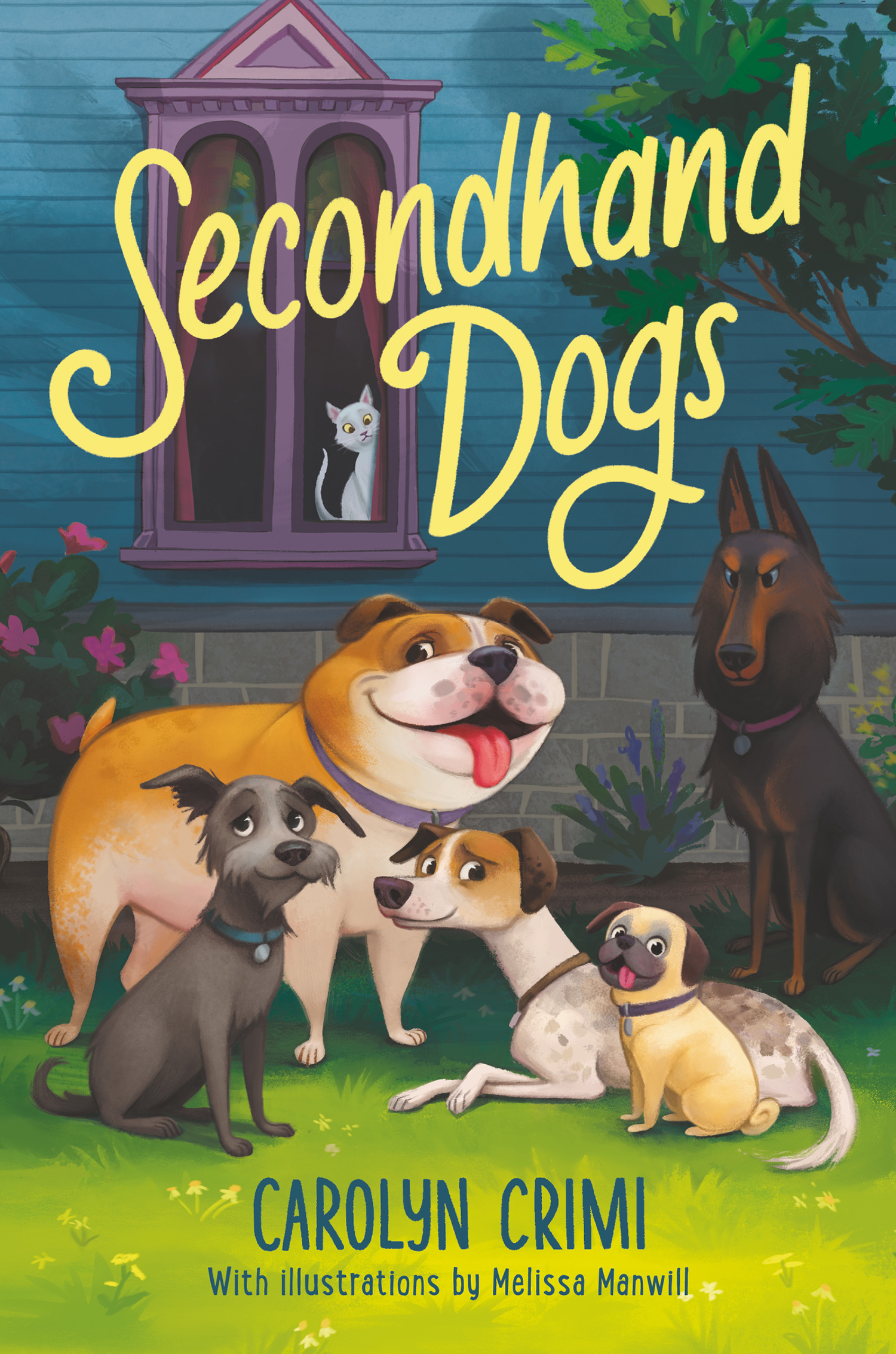 Secondhand Dogs cover image cdn