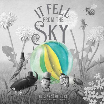 It fell from the sky  cover image cdn