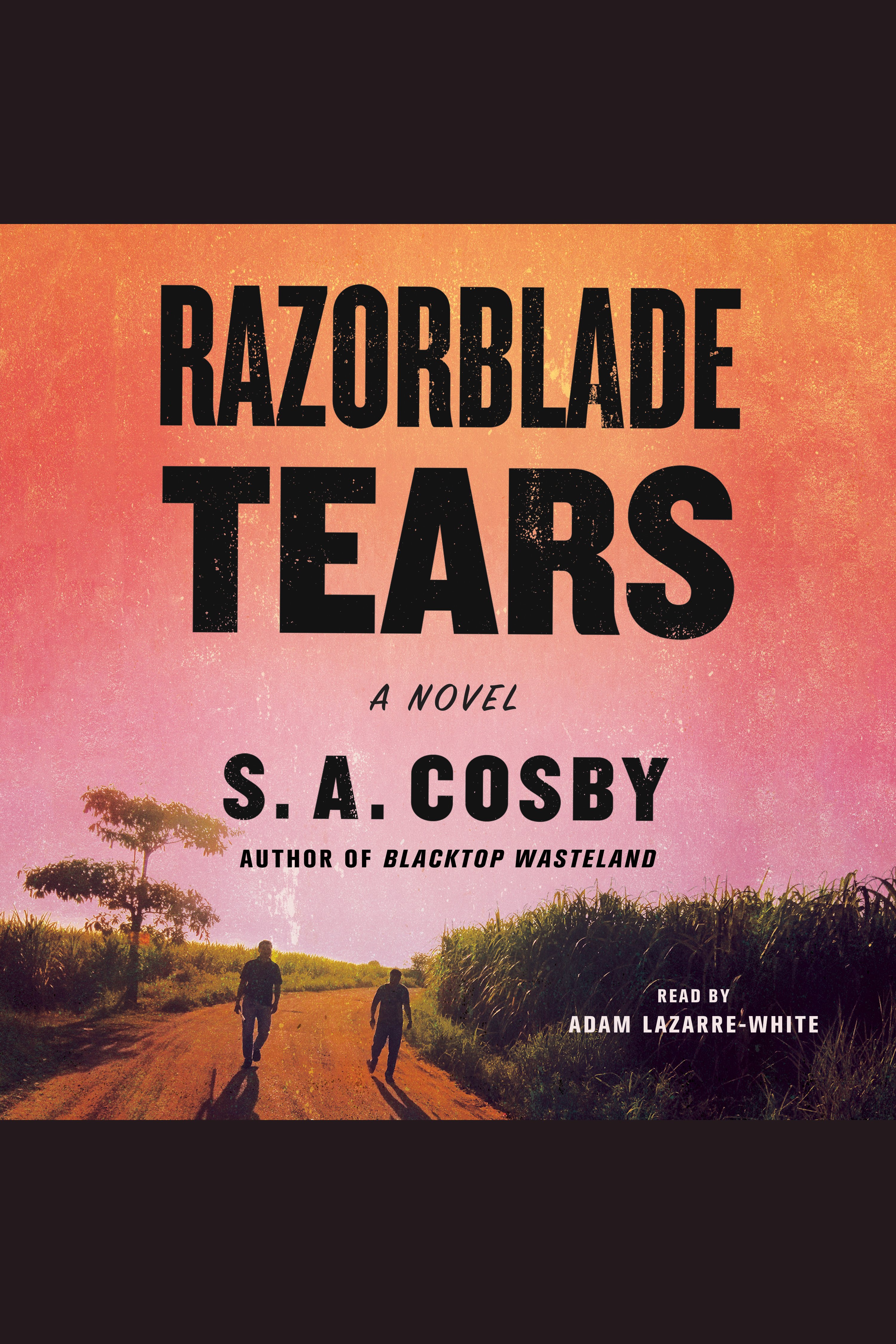 Razorblade Tears cover image cdn