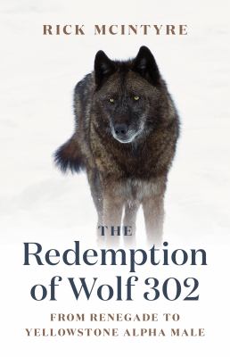 The redemption of wolf 302 : from renegade to Yellowstone alpha male  cover image cdn