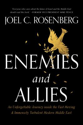 Enemies and allies : an unforgettable journey inside the fast-moving & immensely turbulent modern Middle East cover image
