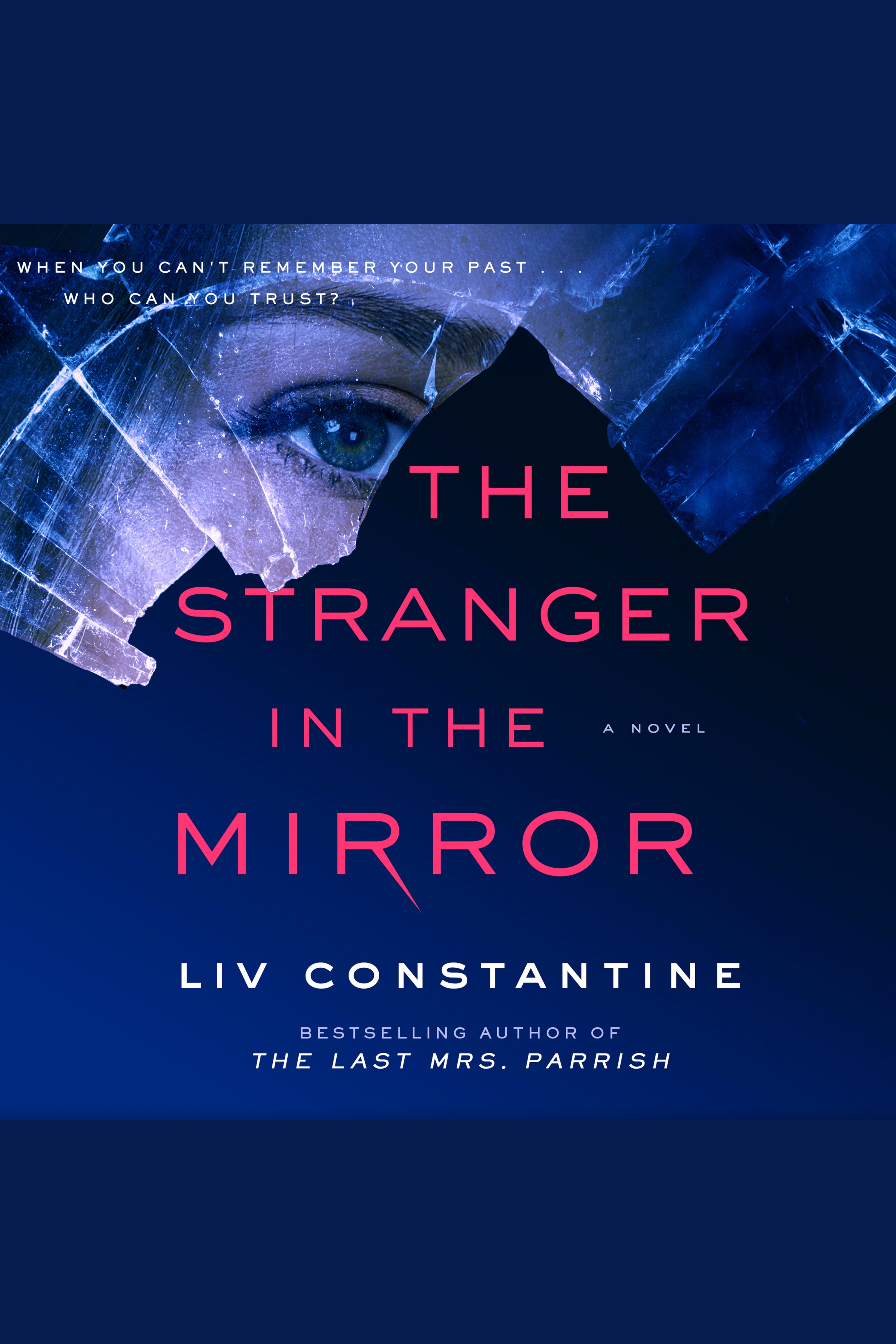 The Stranger in the Mirror cover image cdn