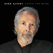 Catch the wind cover image cdn