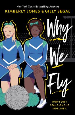 Why we fly  cover image cdn