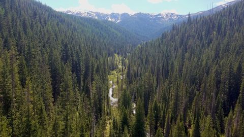 Liberty on Trial in America: Cases That Defined Freedom. Episode 19, The Ruby Ridge Trial cover image cdn