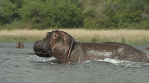 Rivers of Life. Episode 1, The Nile cover image cdn