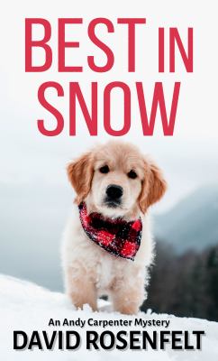 Best in snow cover image cdn