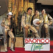 Bronco amigo cover image cdn