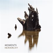 Hierarchy cover image cdn